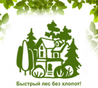 Логотип компании Быстрый Лес